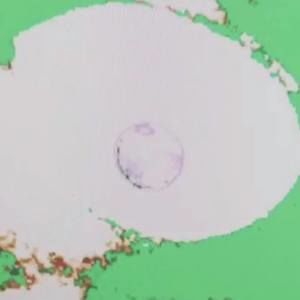 Meet your Posher, Jacob